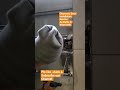Electronic Door Lock Installation service available in west Delhi #shortvideo #viralshorts