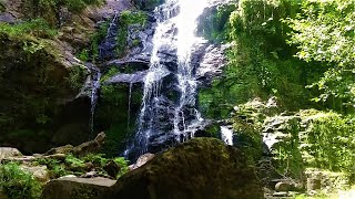 🇪🇸 🌳 Arzúa (Fervenza das Hortas) (Tráiler) #Senderismo #Galicia #España