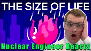 Nuclear Engineer Reacts to Kurzgesagt \\