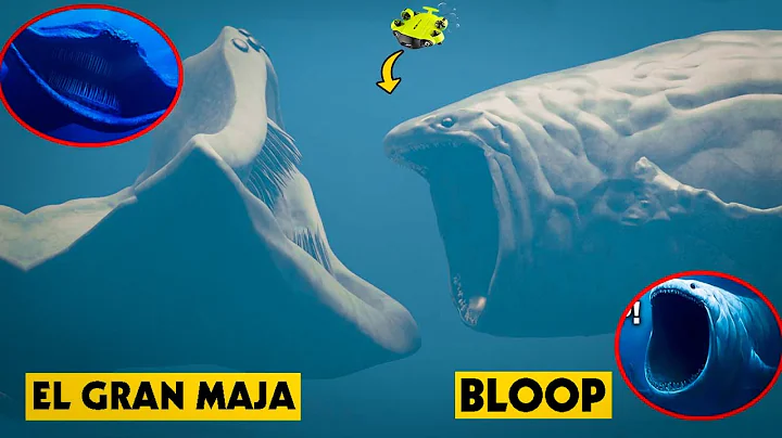 UNDERWATER DRONE CATCHES EL GRAN MAJA VS THE BLOOP BATTLE IN REAL LIFE