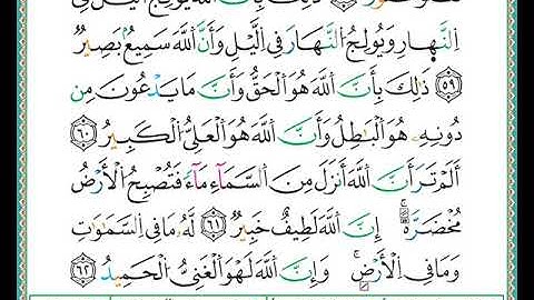 ختمة مصحف التجويد برواية الدوري الصفحة رقم  339