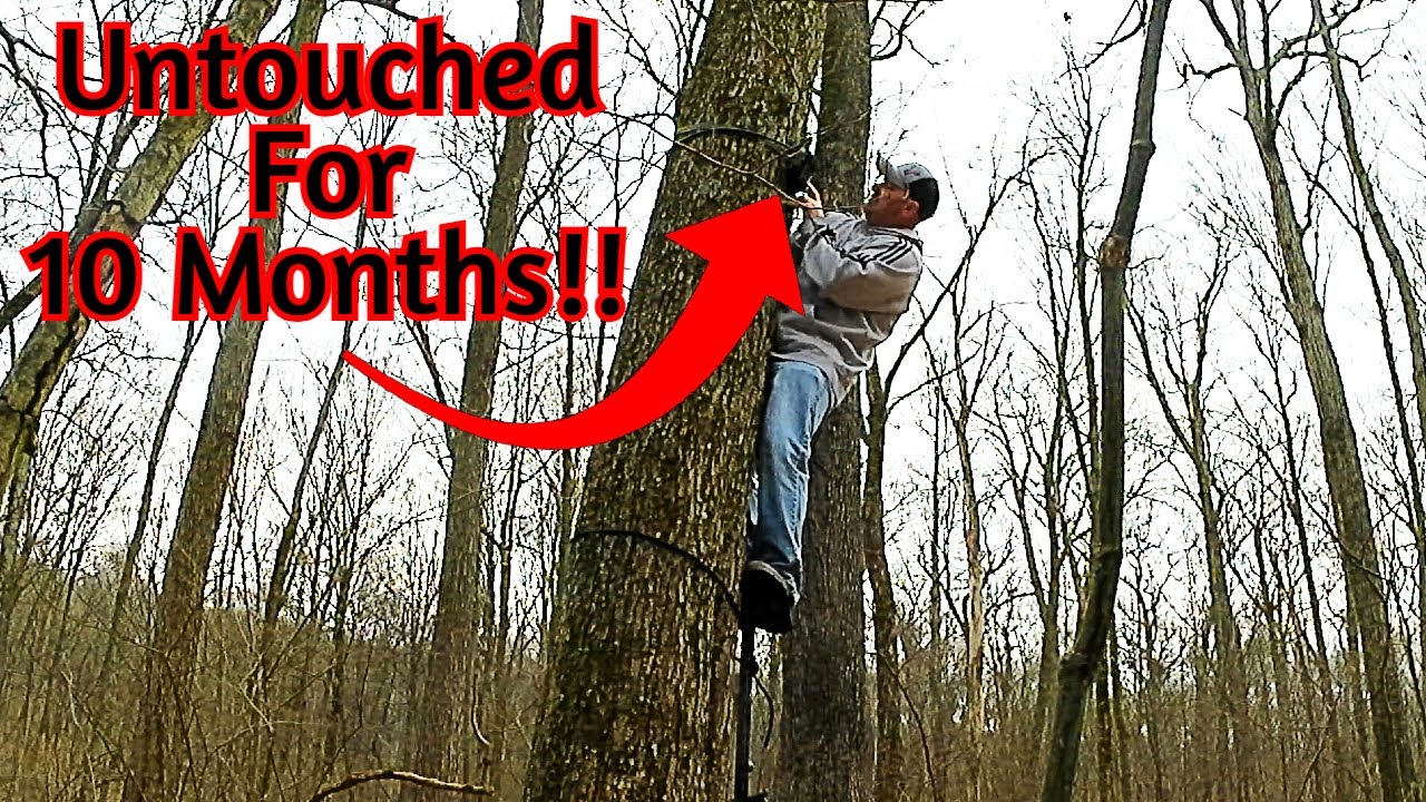 Камера наблюдения оставалась нетронутой в течение 10 месяцев! Что она засняла?