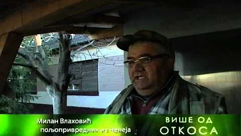 MILAN VLAOVIC IZ CENEJA O BIOGORIVU