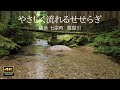 4K映像 + 自然環境音 ASMR   森の中をやさしく流れるせせらぎ　七宗町 葛屋川