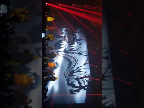 분신8 작두