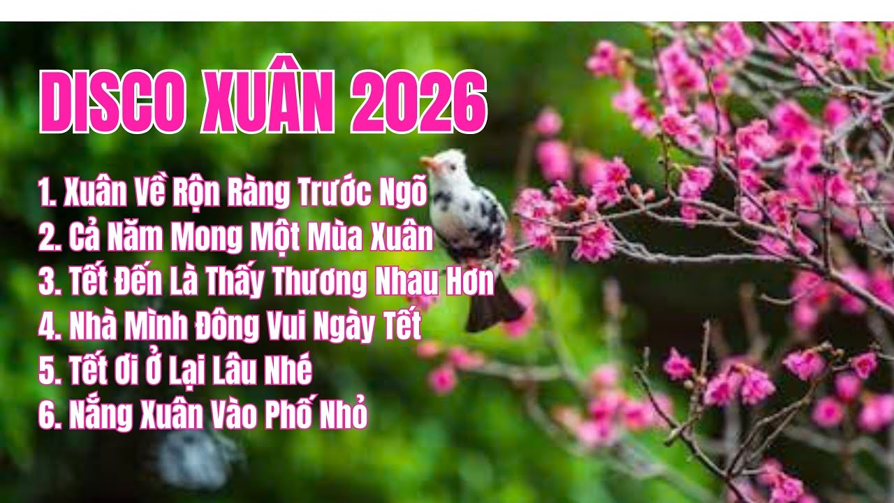 XUÂN VỀ RỘN RÀNG TRƯỚC NGÕ | Album Disco Tết Vui Ấm | Nhạc Xuân Nghe Là Thấy Tết