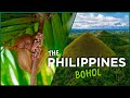 Philippines best nature this island has it all beaches chocolate hills  tarsiers