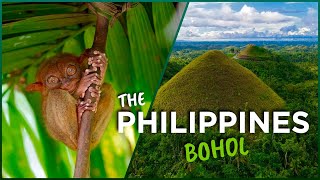 Philippines Best Nature ? This Island Has It All Beaches Chocolate Hills Tarsiers