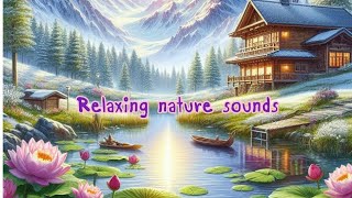 Nature sounds for relaxing your mind and meditation to help you sleep better. Love🥰