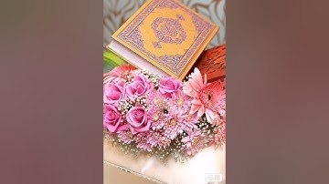 ارح سمعك ،، سورة القلم ،،