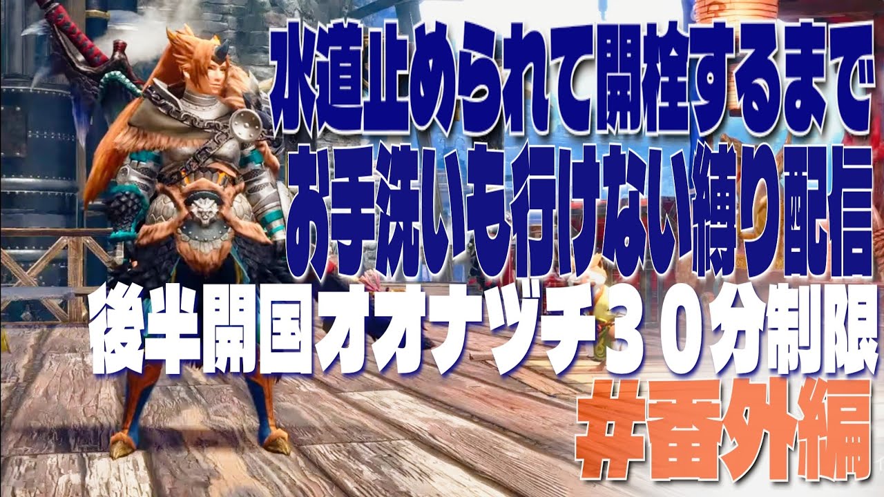 【ソロ】【初見】【太刀】モンスターハンターライズサンブレイク　