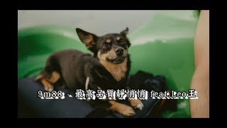 9m88 - 最高品質靜悄悄feat.Leo王（動態歌詞）