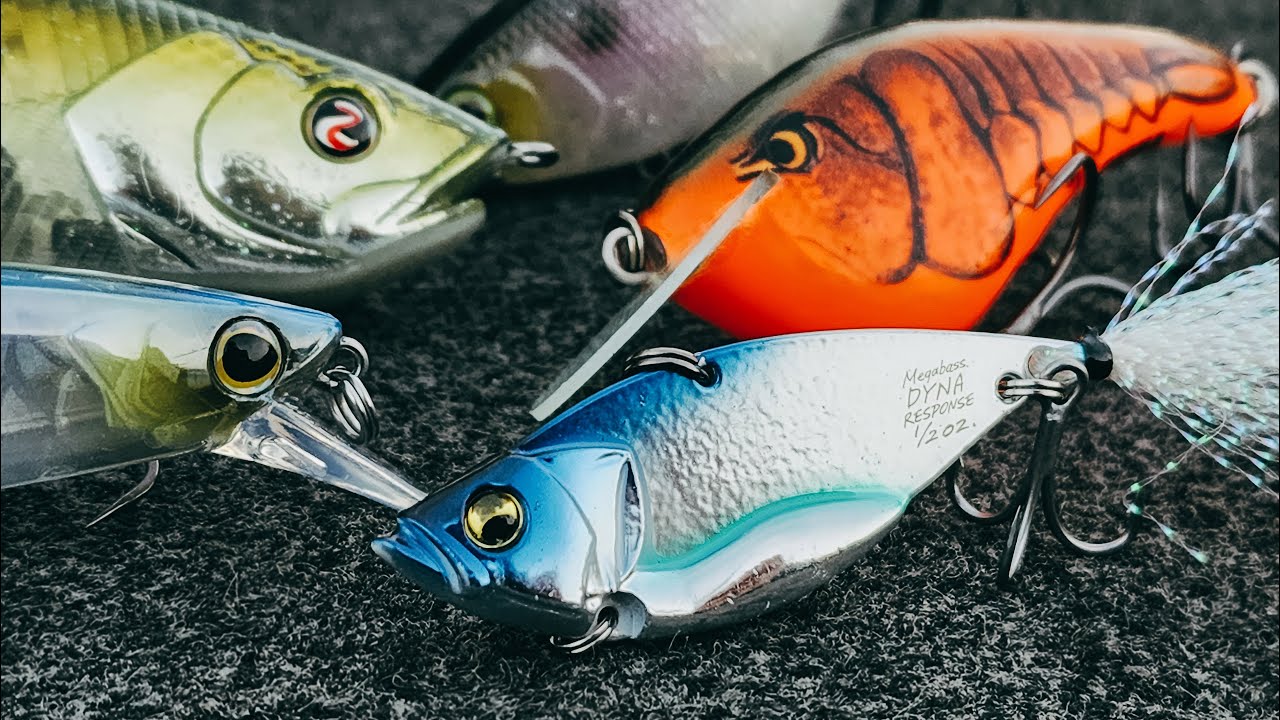 Top 5 Baits For February Bass Fishing! 