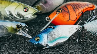 Top 5 Baits For February Bass Fishing!