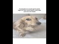 ~~~ #vem18k #memes #desflopacomu #roblox