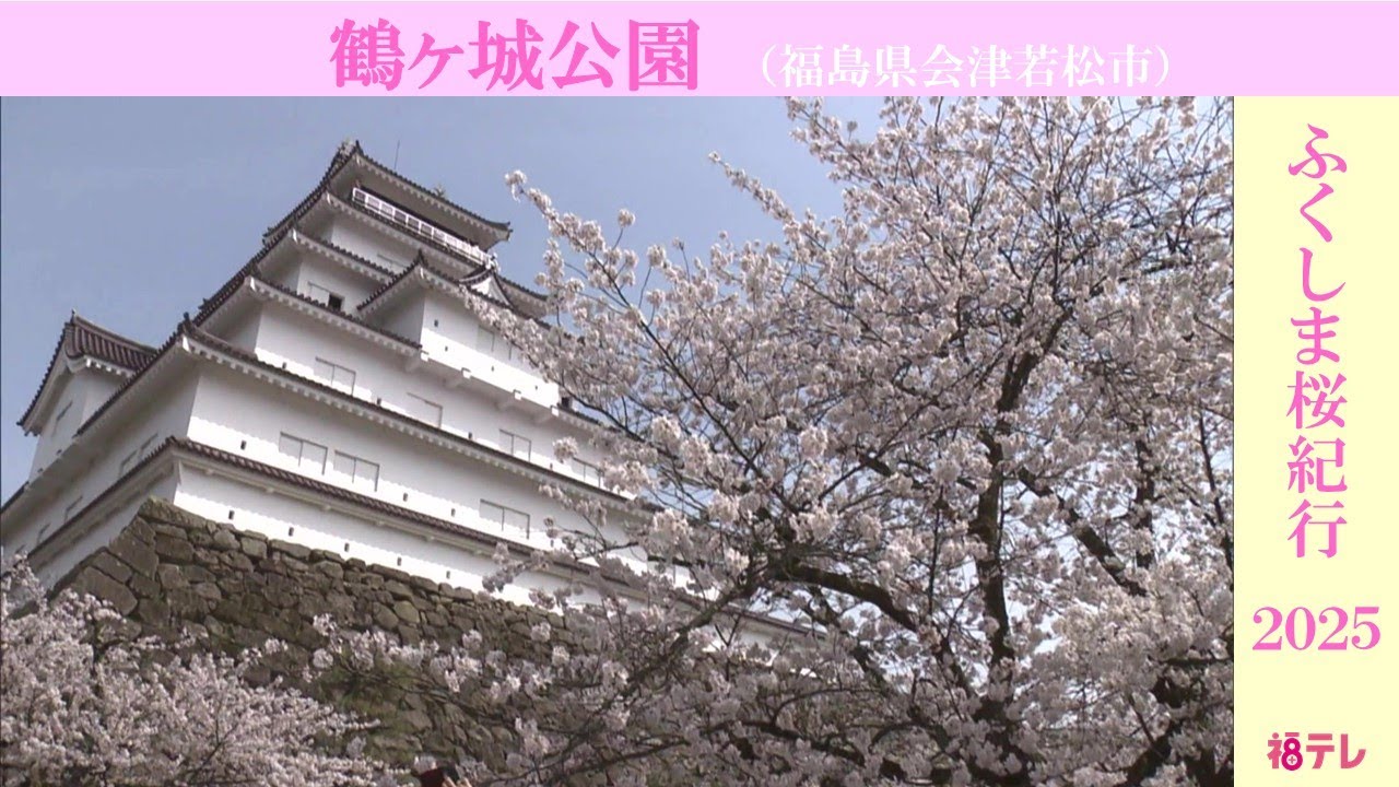 Aizuwakamatsu City, Tsuruga Castle Park: Approximately 1,000