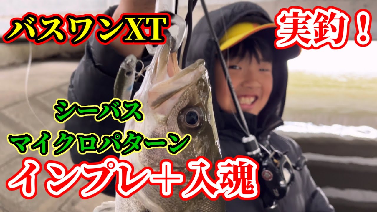 買ったばかりのバスワンXTでシーバス入魂！マイクロベイトパターンで実