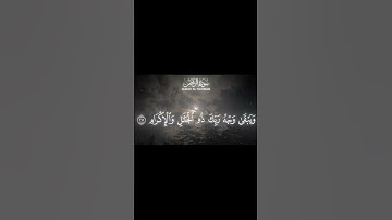 كل من عليها فان 🥰❤🎧#القارئ_إسلام_صبحي #القارئ #اسلام_صبحي #عبدالرحمن_مسعد #عبد_الباسط_عبد_الصمد