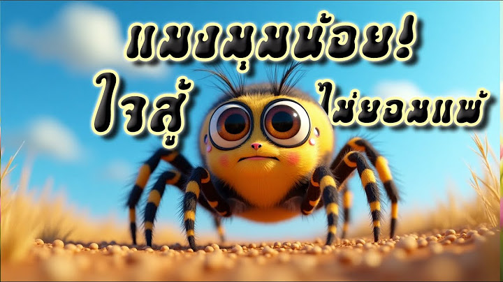 แมงมุมน้อยใจสู้ไม่ยอมแพ้ I Liitle Olympus | เพลงสำหรับเด็ก | 3D Animation 🐇🌸