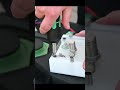 Wera Torque Wrench In Action