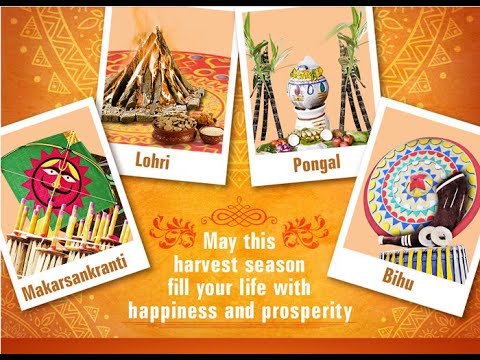 MAKAR SANKRANTI  PONGALLOHRIBIHU   FESTIVALS OF INDIA