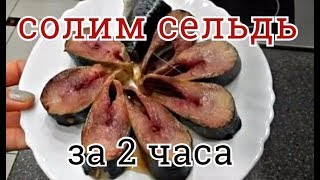 СОЛИМ  СЕЛЬДЬ БЫСТРО ЗА 2 ЧАСА