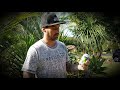 Introducing SOBAH NON ALCOHOLIC CRAFT BEER Introducing SOBAH NON ALCOHOLIC CRAFT BEER