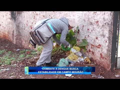 COMBATE À DENGUE BUSCA ESTABILIDADE EM CAMPO MOURÃO