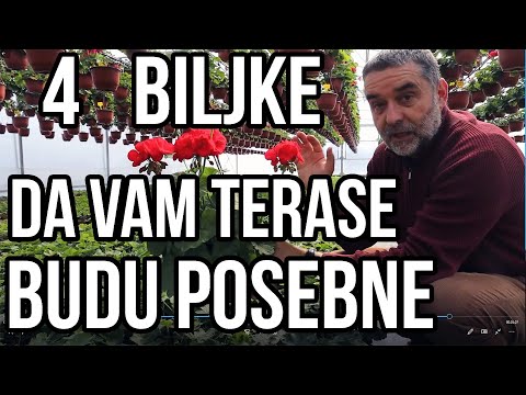 Video: Kako su vizantijski carevi bili kao posljednji od starih Cezara?