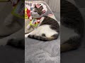 小鉄さん…お年玉馴染んでる🤣笑笑