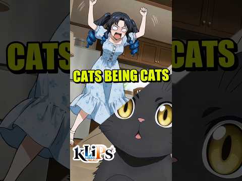 Cats Being Cats