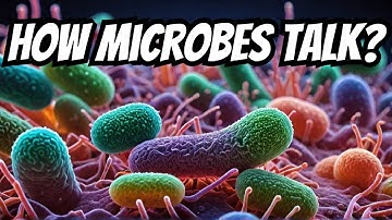 Bacteriële quorumsensing: een verborgen taal onder microben