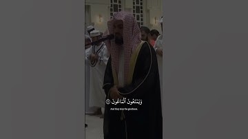 رعد الكردي سورة الماعون#رعد_الكردي #سورة_الماعون #قرآن_كريم #القرآن #quran #islam #raadalkurdy #الله