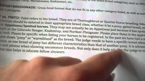 Prepping For A Model Horse Show Part 3