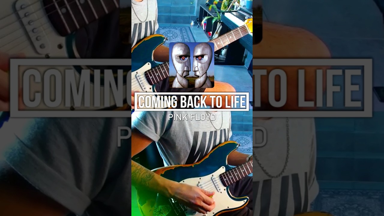Coming Back To Life - Pink Floyd - Intro 