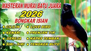 🔴 LIVE 13 - MASTERAN MURAI BATU PAGI HARI FULL ISIAN TEMBAKAN, MELATIH MURAI EMOSI BONGKAR ISIAN