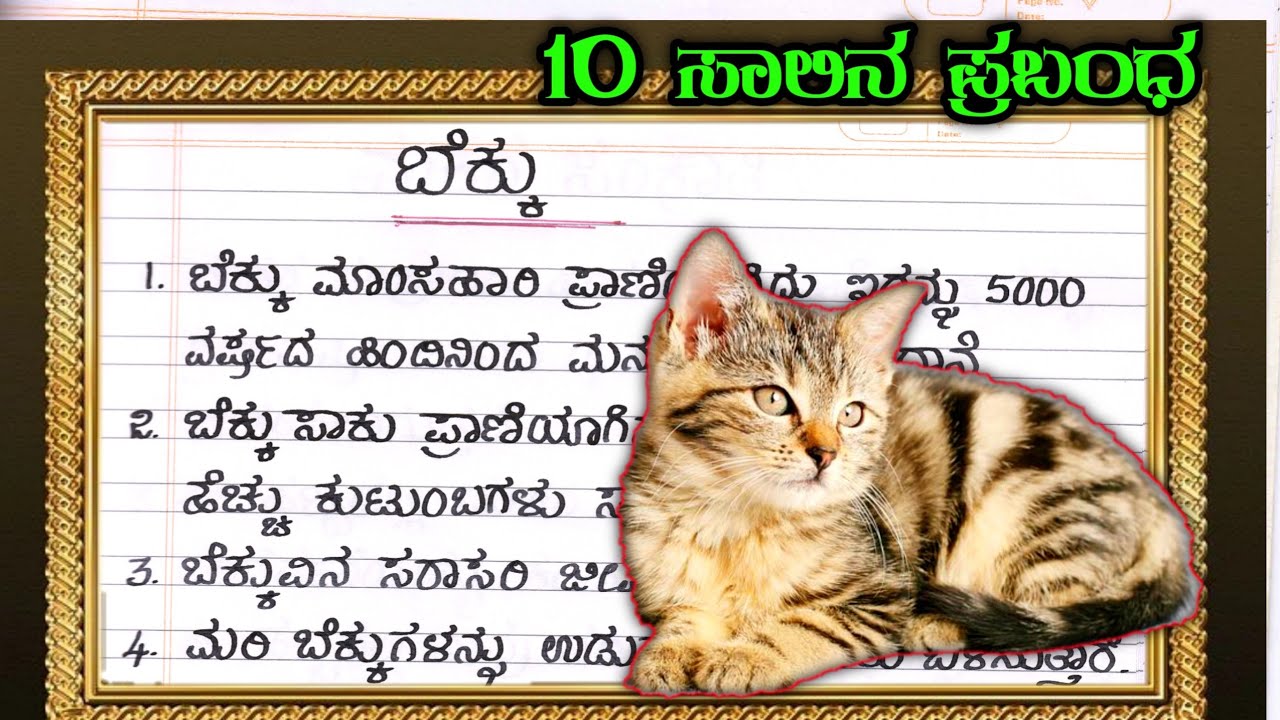 essay on pet animal in kannada