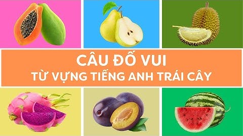 Kết quả giám sát đánh giá băng tiếng anh năm 2024