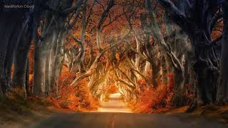 Dark Meditation Music - Deep Trance Healing Music for Stress Relief