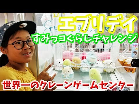 クレーンゲームセンターエブリデイですみっコぐらしチャレンジしてきた