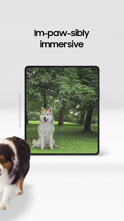 Download lagu Galaxy Z Fold5: Watch your videos jump off the screen | Samsung