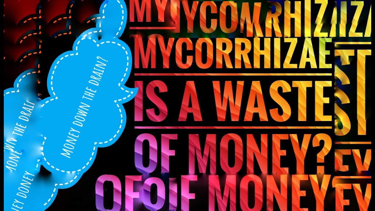 Mycorrhizae is a Waste of Money in your Tent?