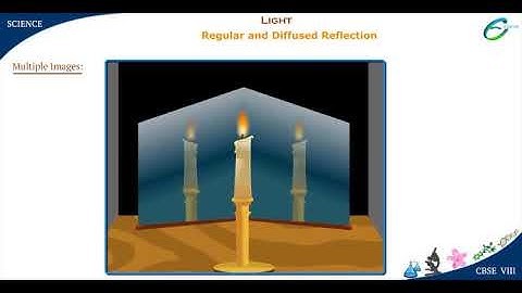 Light-Regular and Diffused Reflection