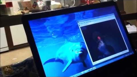 Virtual mouse matlab