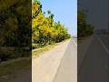 Shaam bhi khoob #song #love #lovesong #Shorts, #YouTubeShorts, #Viral, #Trending. #Shorts #FYP