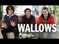 Shooting Hoops with Wallows – Open Up