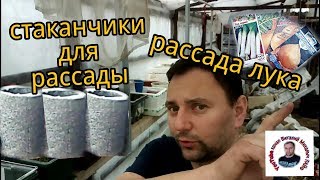 РАССАДА ЛУКА/САМОДЕЛЬНЫЕ СТАКАНЧИКИ ДЛЯ РАССАДЫ/