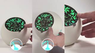 Ventilia Diffuseur Dhuiles Essentielles Par Ventilation