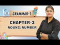 KEVALI | GRAMMAR-1 | CH-3 : NOUNS: NUMBER