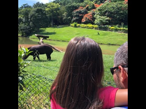 Zooparque Itatiba: Um dia no maior Zoológico Particular do Brasil